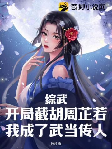 综武开局玄武真功