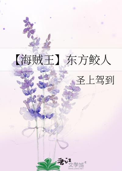 东方project海贼王