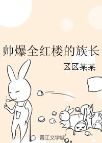 帅爆全红楼的族长TXT