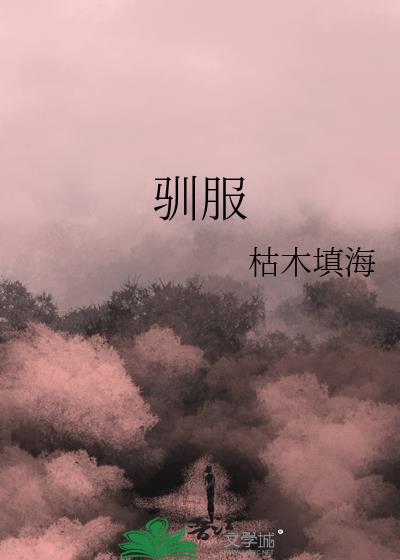 驯服猫咪法则