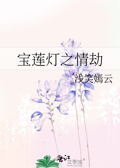 宝莲灯小说版