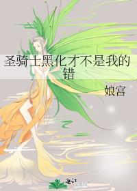 《黑化圣骑士》