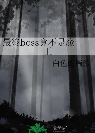 最终boss什么意思