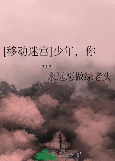 移动迷宫系列解析