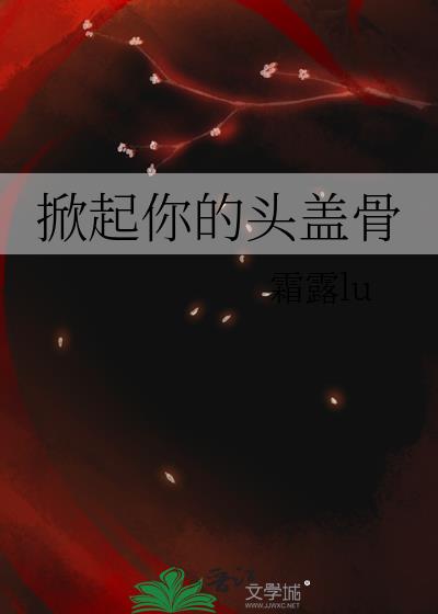 掀起你的头盖骨是什么意思