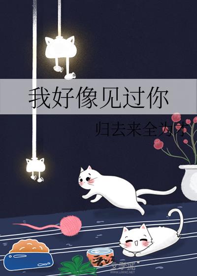 我好像见过你歌曲