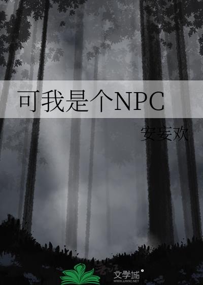 我是一个npc