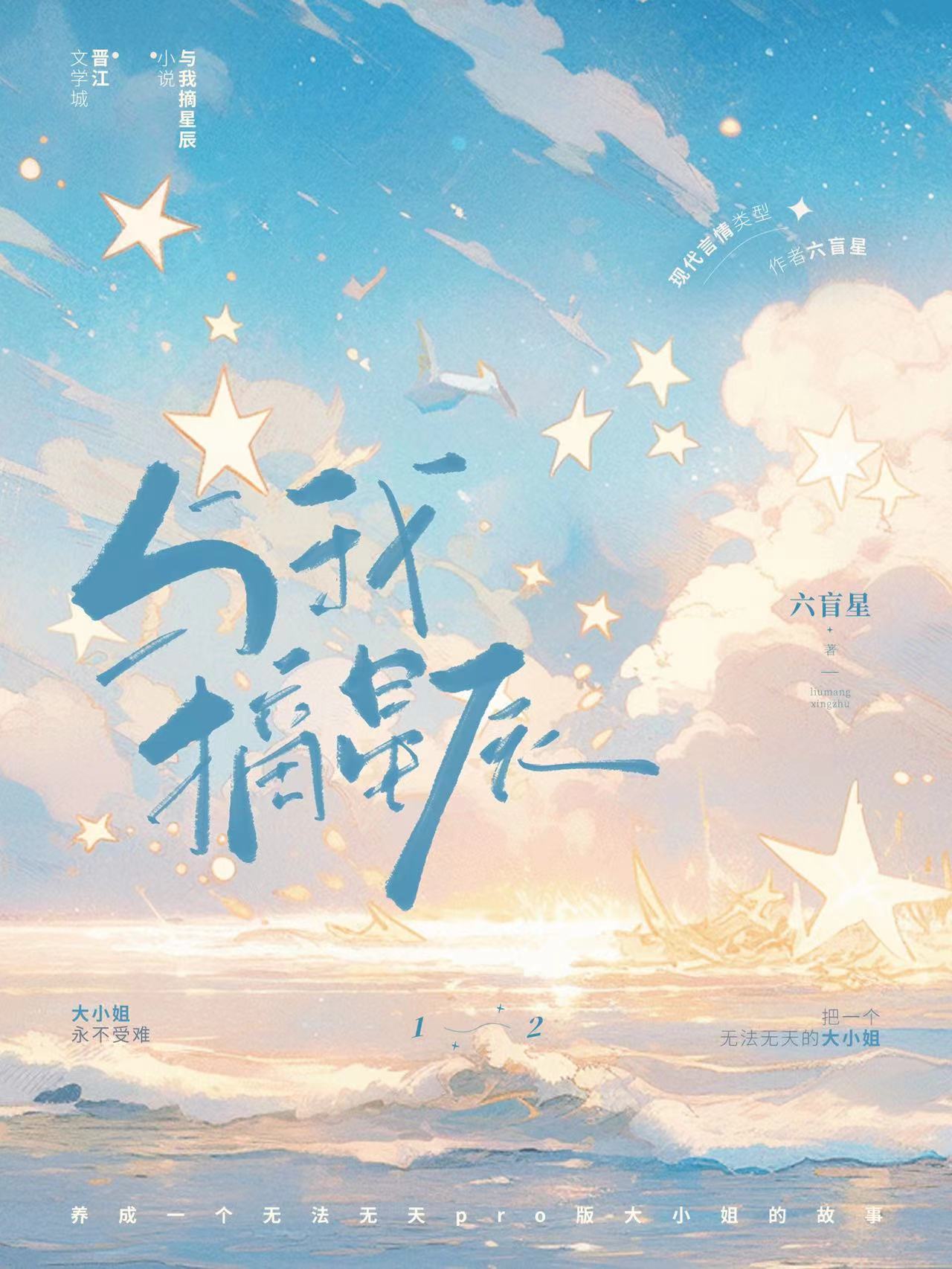 书名:摘星予你