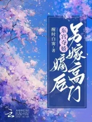 东宫嫡妾(重生)雪落蒹葭