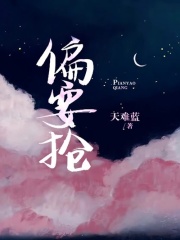 偏要抢小说完整版