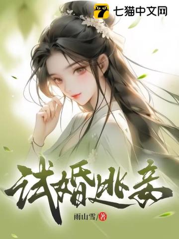 试婚夫妻【百年闪婚主题书】 小说