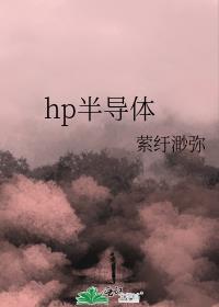 hp半导体